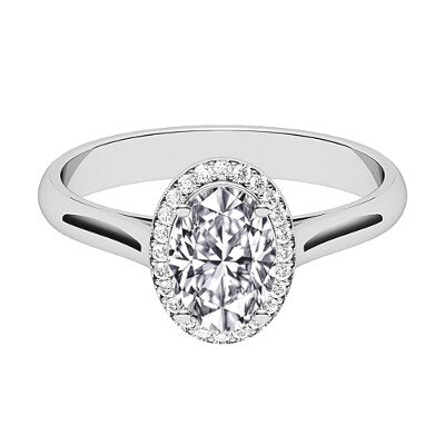 Vittoria Oval Solitaire halo Classic band 4 Prongs